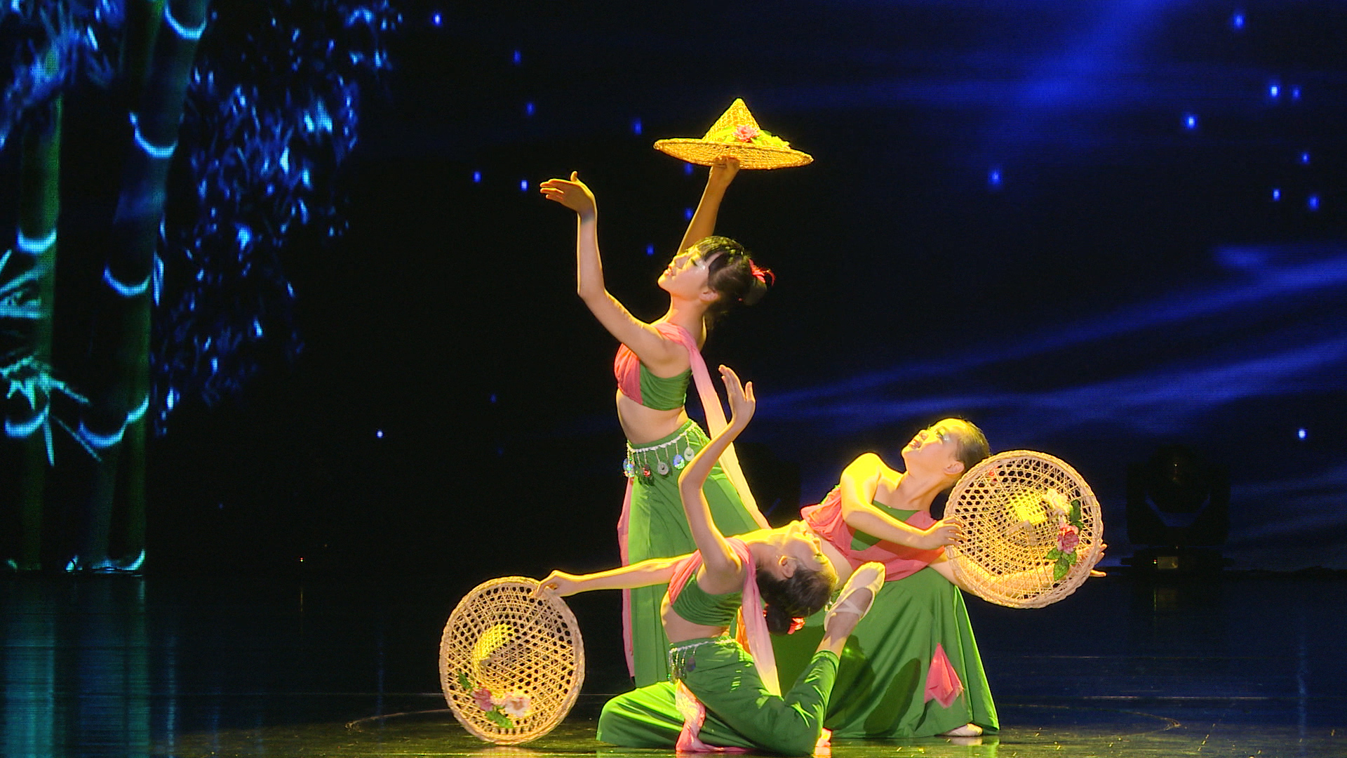 2017年8月全程策划承办并网络直播中国荷花舞蹈联盟艺术展演